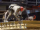 El costo de la construcción subió 3,7% en abril y superó a la inflación