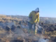 Incendios forestales en Córdoba: controlaron un foco de Salsacate y está activo el incendio entre Achiras y Sampacho