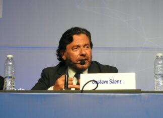 Inversiones mineras en Salta: proyectan US$ 12.000 millones