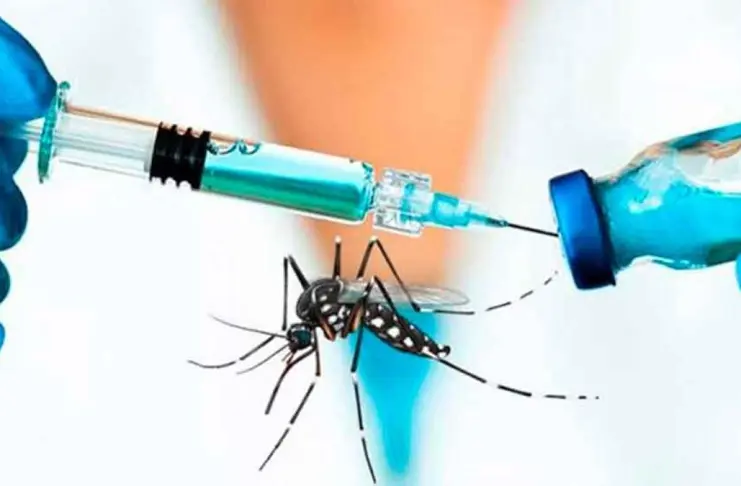 La vacuna contra el dengue llegaría a Santa Fe a comienzos de diciembre