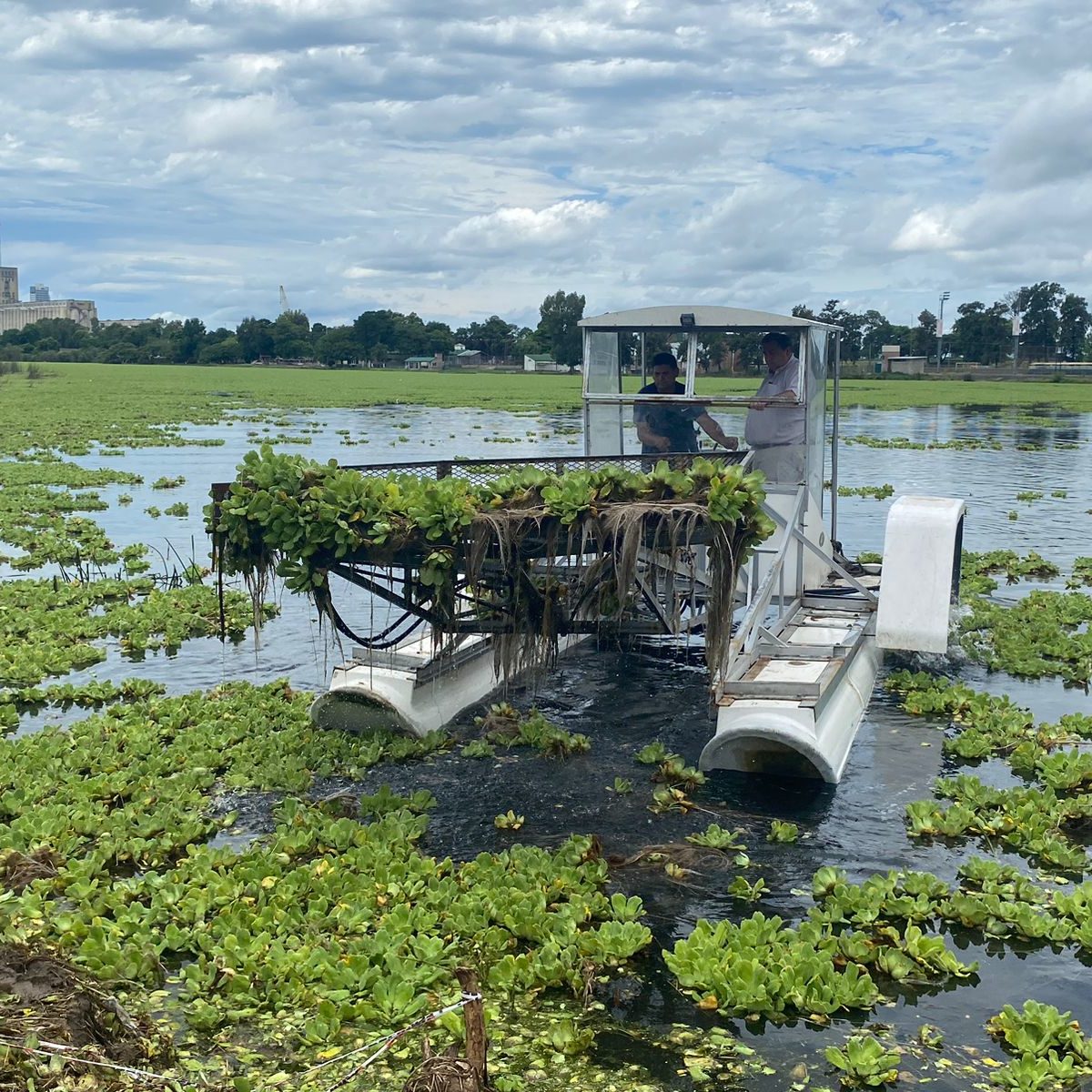 Comenzó a trabajar la cosechadora acuática en el lago del Parque Sur