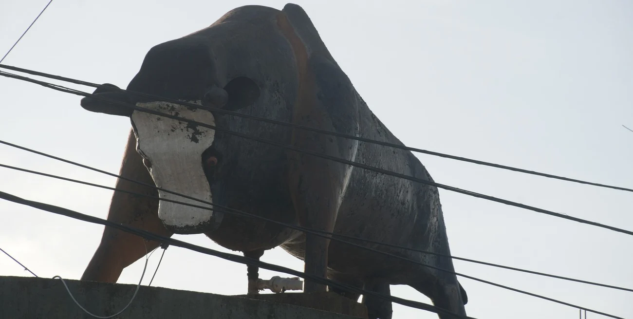 Qué quieren hacer con la emblemática obra del toro de Blas Parera