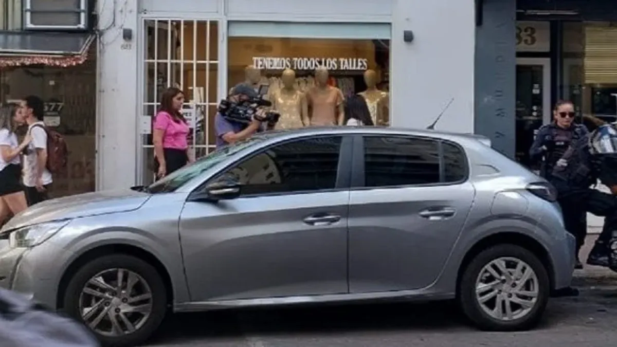 Rosario: dejaron a un perro encerrado en un auto y murió sofocado por el calor
